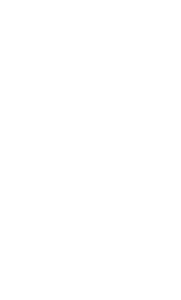 Logo - nDepth Security LLC
